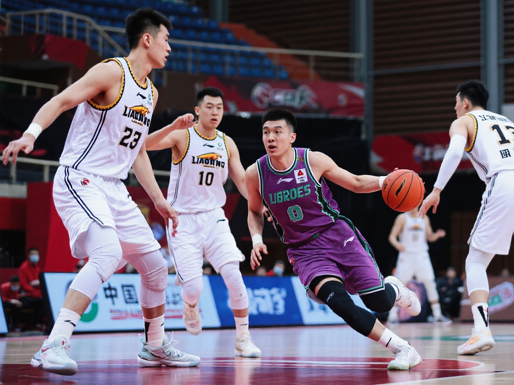 期会举办各 期会举办各